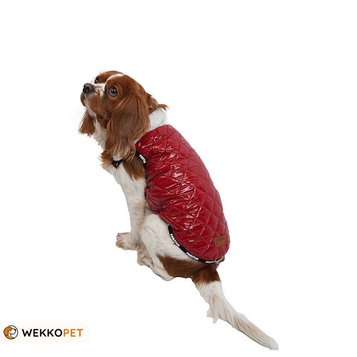 (SET OF 5) High-Quality Dog Jacket -Red Monc- Coat Perfect Dog Lover Gift - WEKKOPET for wholesale by WEKKOPET