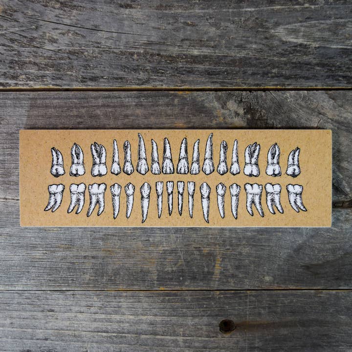 TEETH Vinyl Sticker for wholesale by Quiet Tide Goods