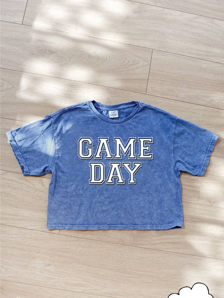 GAME DAY PUFF Cropped Mineral Graphic Top for wholesale by OAT COLLECTIVE