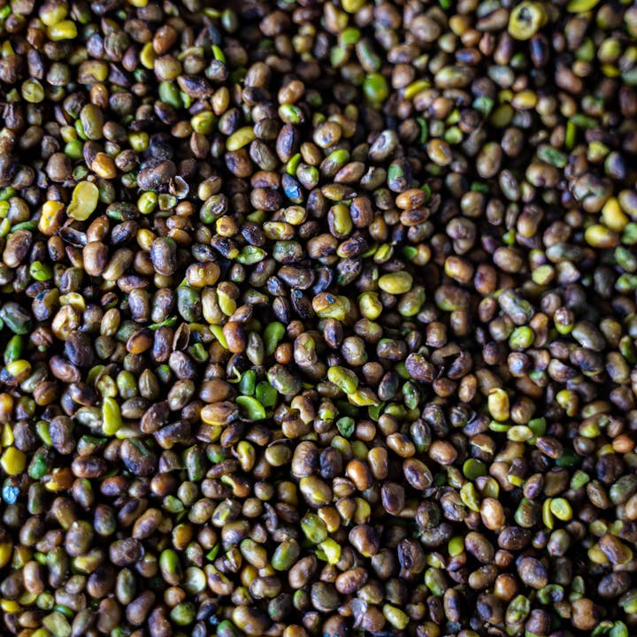 RAYA - Wholesale Noten - Wilde pistachenoten Los verpakt