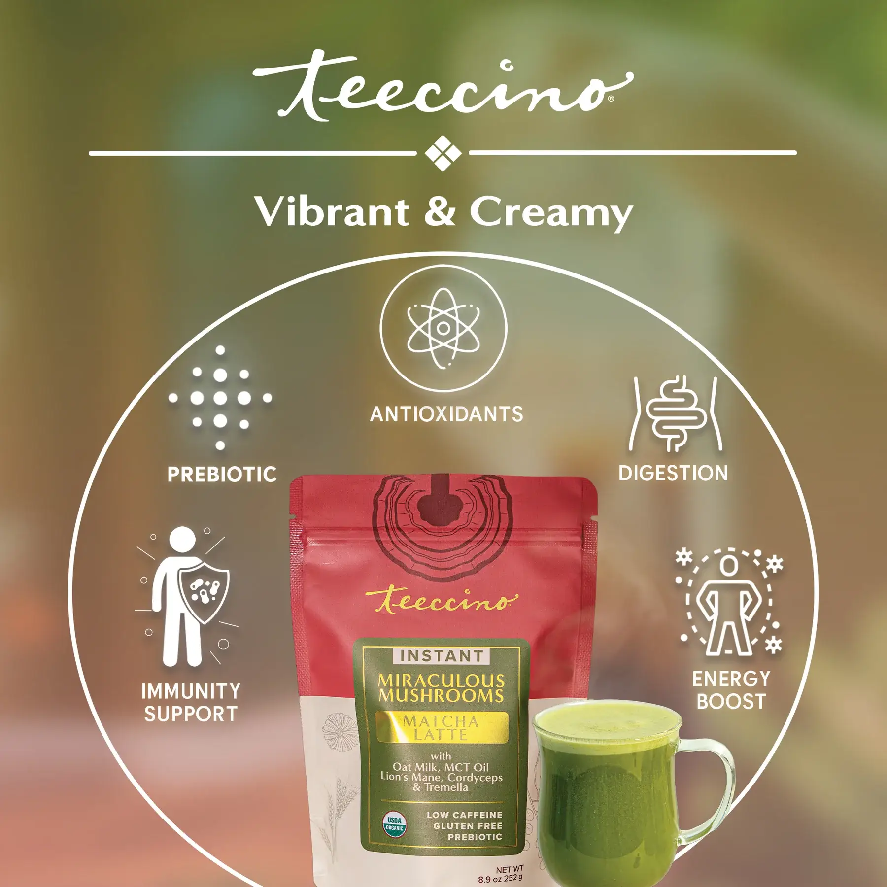 Teeccino – wholesale Health/detox tea – New!! Instant Miraculous Mushrooms Matcha Latte3