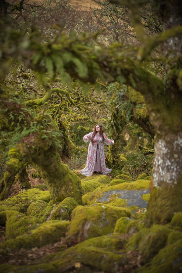 Costurero Real - Wholesale Costume - Women's - Lace Overdress Bridgerton inspired costume surcoat medieval5