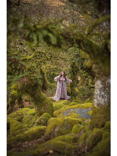 Costurero Real - Wholesale Costume - Women's - Lace Overdress Bridgerton inspired costume surcoat medieval5