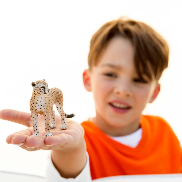 Schleich - Wholesale Figurine Toy - Kids - Cheetah Female Safari Animal Toy3