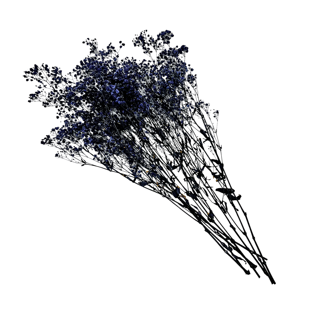 2626 Designs - Wholesale Dried/Pressed Flowers - Preserved Gypsophila, Baby's Breath,24" long3