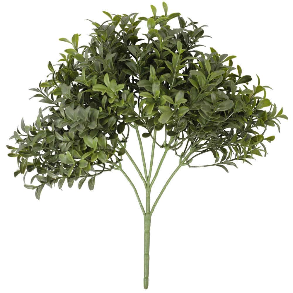 Designer Plants AU - Wholesale Artificial plant - Dense Artificial Buxus Foliage 30cm UV Resistant0