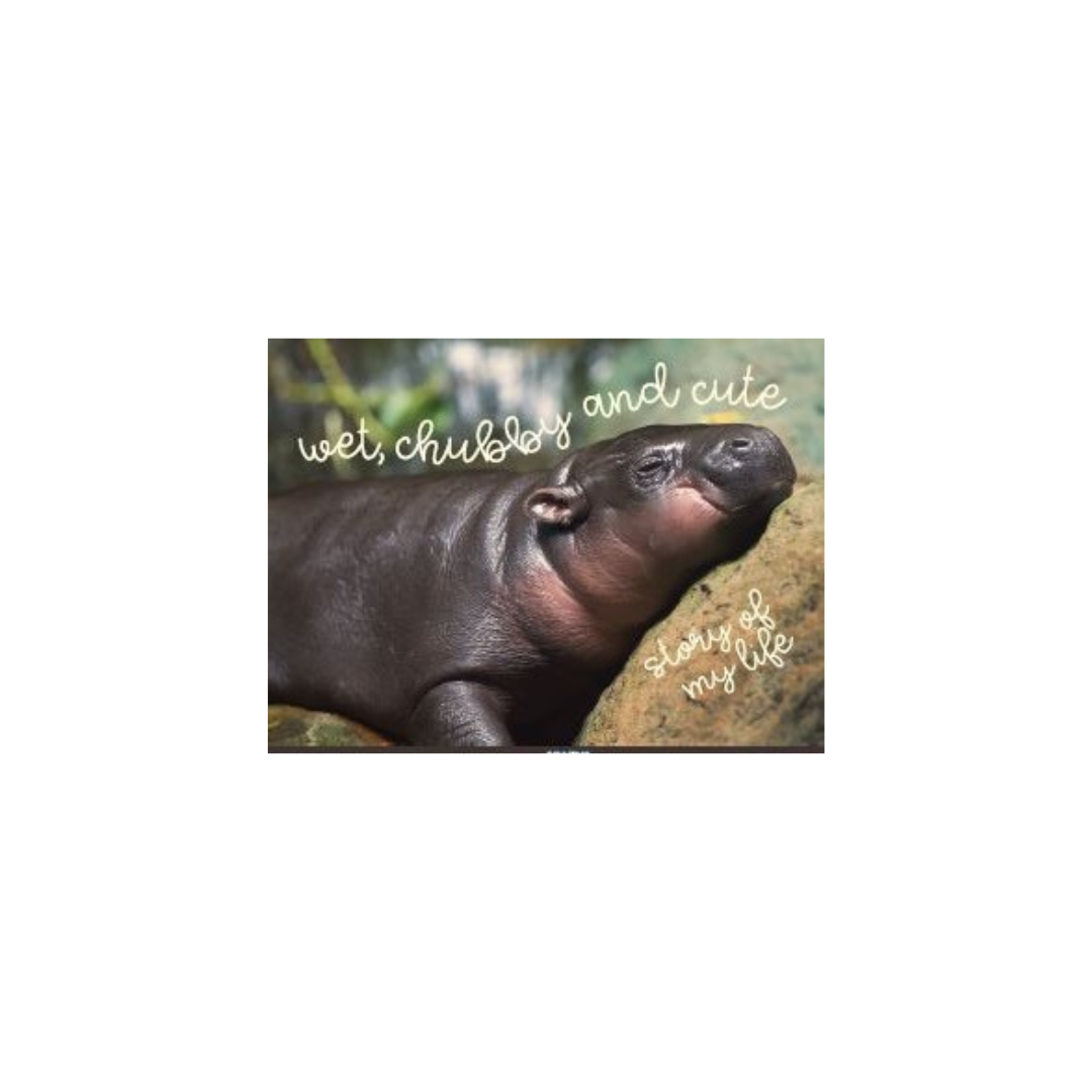 Kalan - Wholesale Magnet - Wet, Chubby, and Cute Jumbo Magnet0