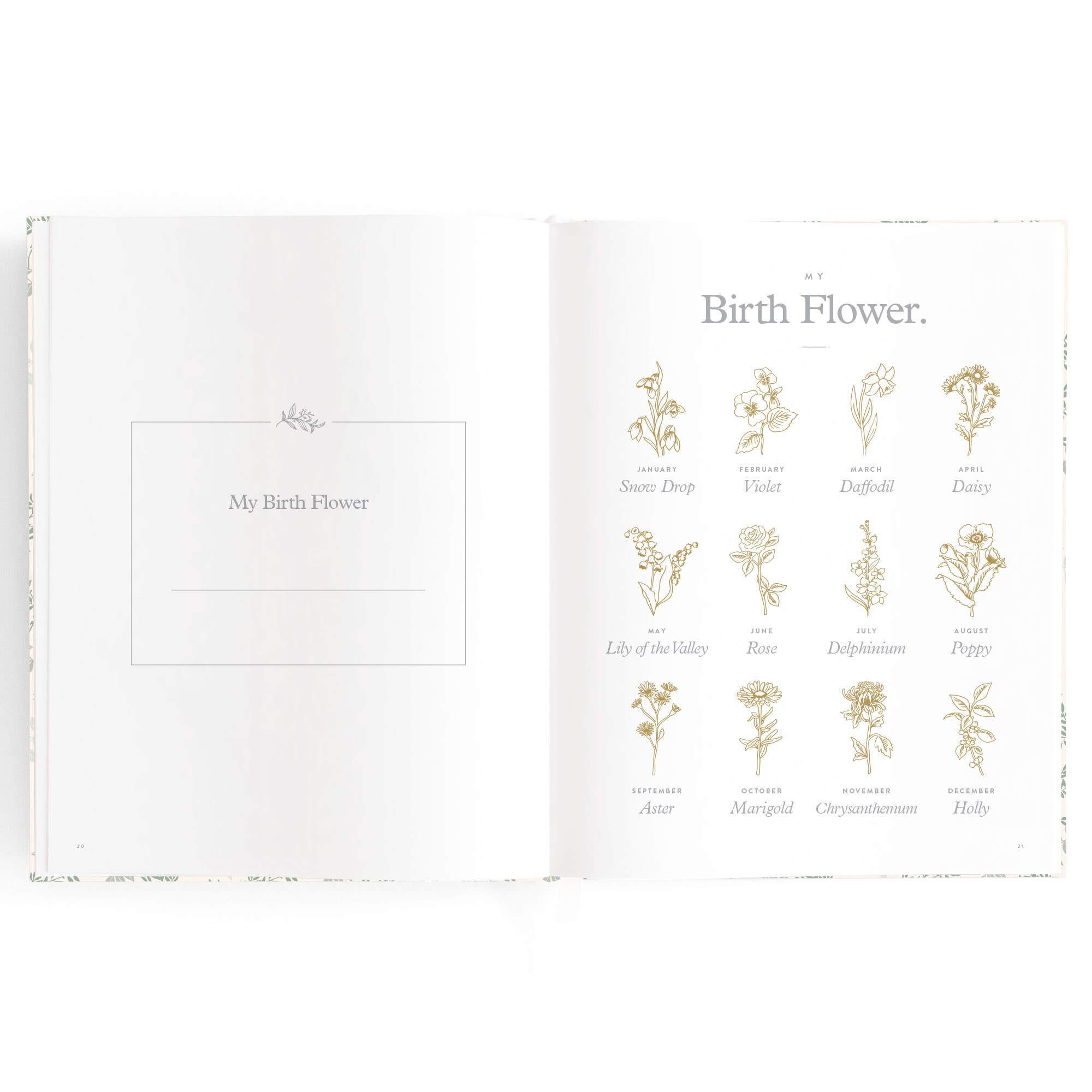 Fox & Fallow – wholesale Memory book – Child & baby – Baby Book Cypress10