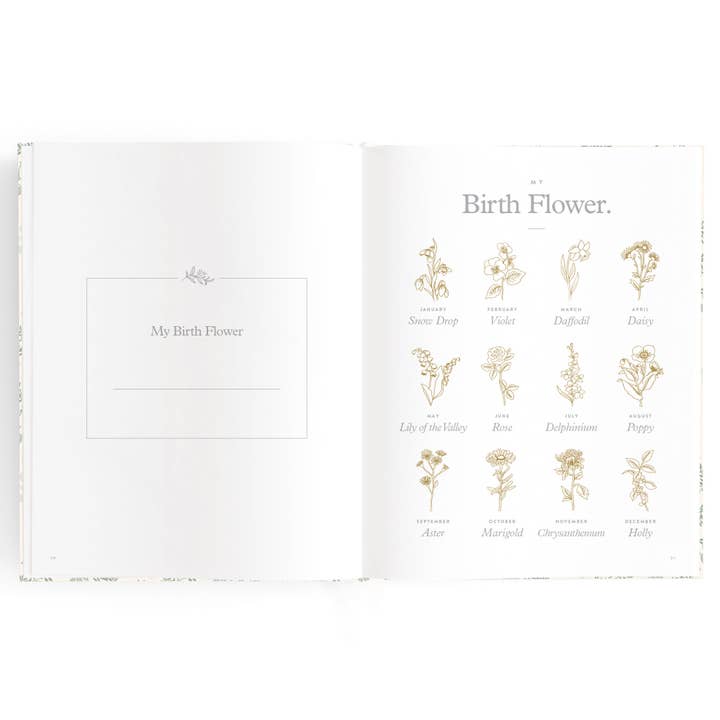 Fox & Fallow – wholesale Memory book – Child & baby – Baby Book Cypress10