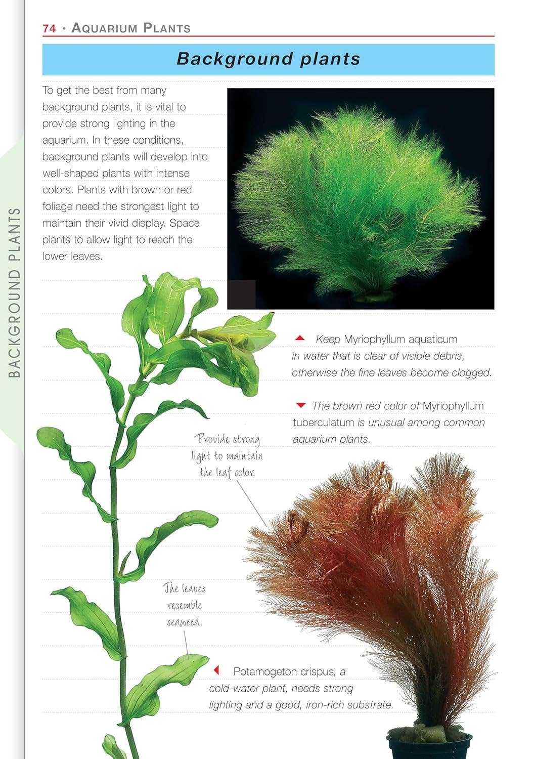 Fox Chapel Publishing - Wholesale Nature & Outdoors - Aquarium Plants2
