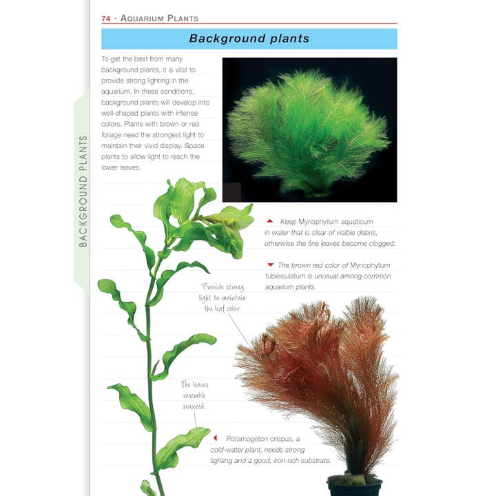 Fox Chapel Publishing - Wholesale Nature & Outdoors - Aquarium Plants2