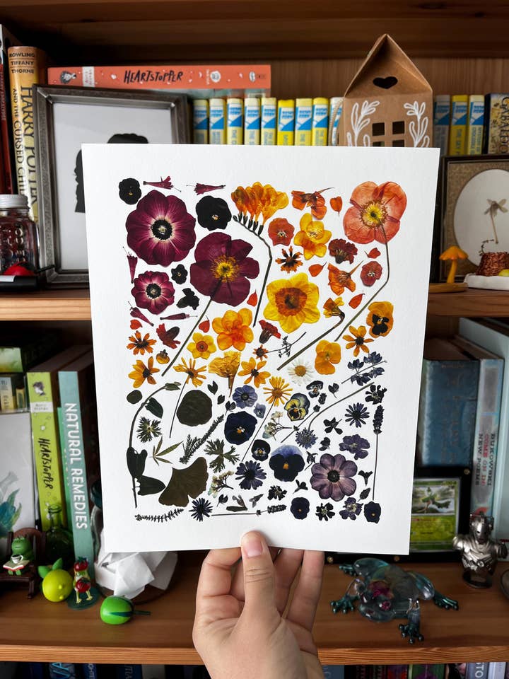 Rainbow Floral Art Pressed Flowers Giclée Print for wholesale by Owlhaired Designs