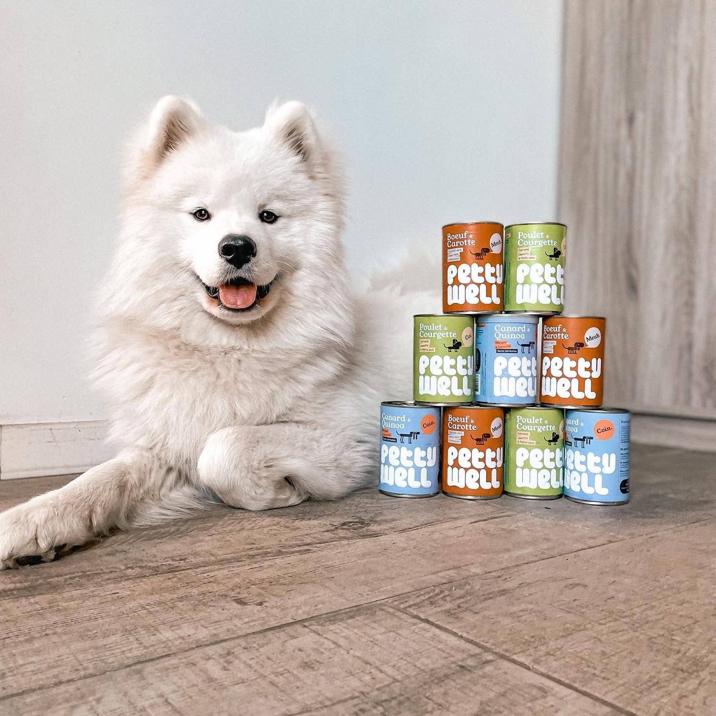 Petty Well - Wholesale Voer - Hond - Hondenpaté - Rundvlees & Wortelen - 6 x 400 g2