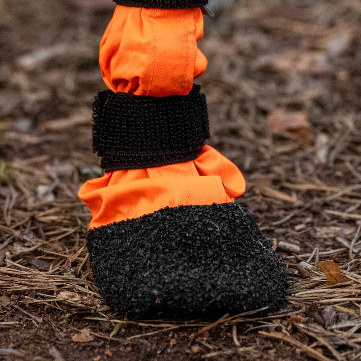 FINNERO - Wholesale Pet Boots - Dog - FINNERO SULO Protective Dog Booties 2 pcs/set, Orange3
