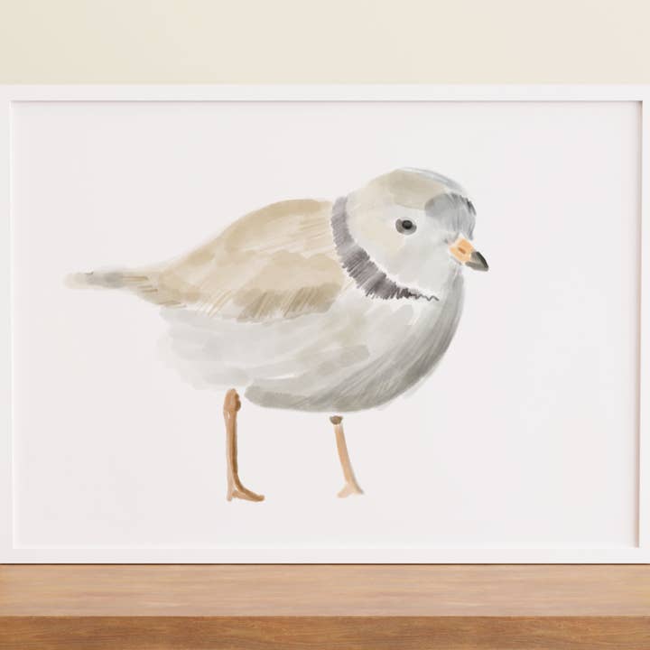 Piping Plover for wholesale by Tiny Ink Boston
