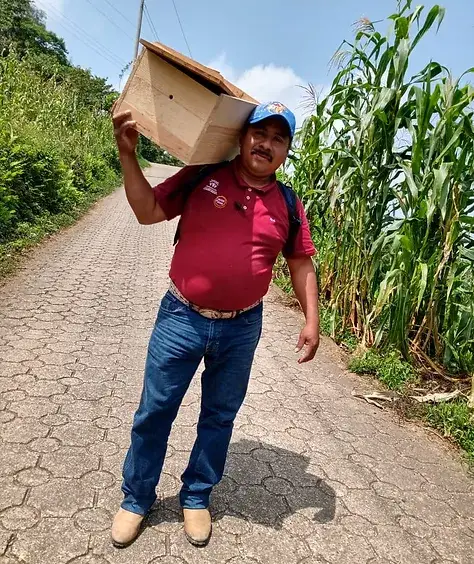 Zayti L.T.D.M - Wholesale Honey - PRECIOUS MELIPONA HONEY (ORGANIC): 300G JAR - SCAPTOTRIGONA10