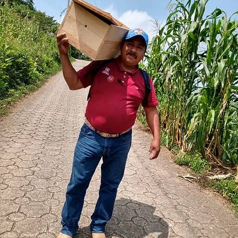 Zayti L.T.D.M - Wholesale Honey - PRECIOUS MELIPONA HONEY (ORGANIC): 300G JAR - SCAPTOTRIGONA10