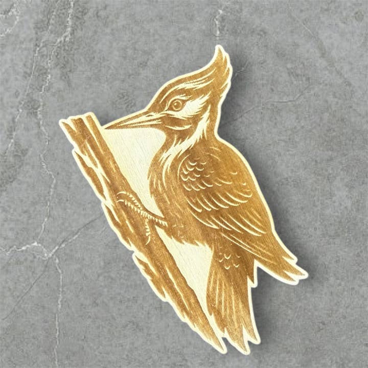 Calamita in Legno Picchio per la vendita all'ingrosso da parte di Daisy Ridge