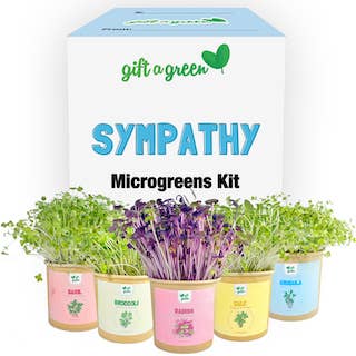 Gift Box - Sympathy for wholesale by giftagreen