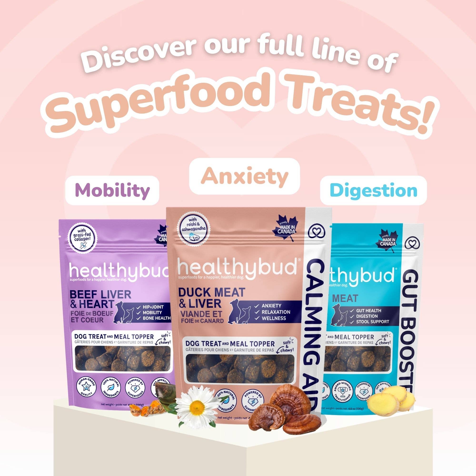 Healthybud - Wholesale Pet Treats - Dog - Healthybud's Functional Duck Calming Aid Dog Treats7