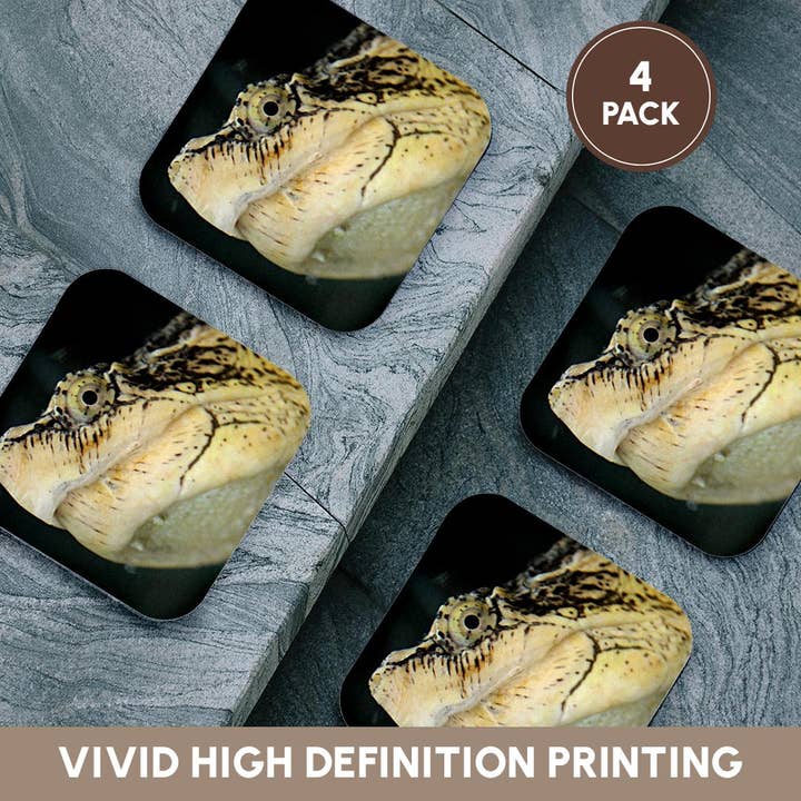 3dRose - Wholesale Coasters - 3dRose, Snapping Turtle, Coaster12