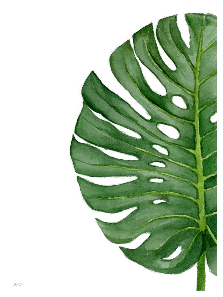 Monstera Leaf Print – Tropical Botanical Wall Decor for wholesale by Art by Emma Lian