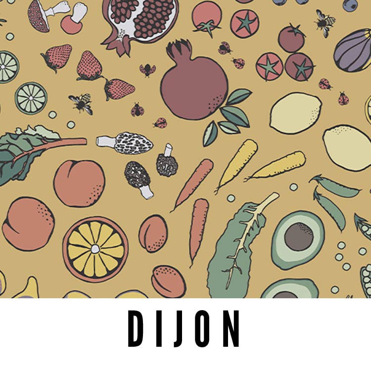 Splash Fabric - Wholesale Fabric - Laminated Cotton Fabric - 10yd Roll12