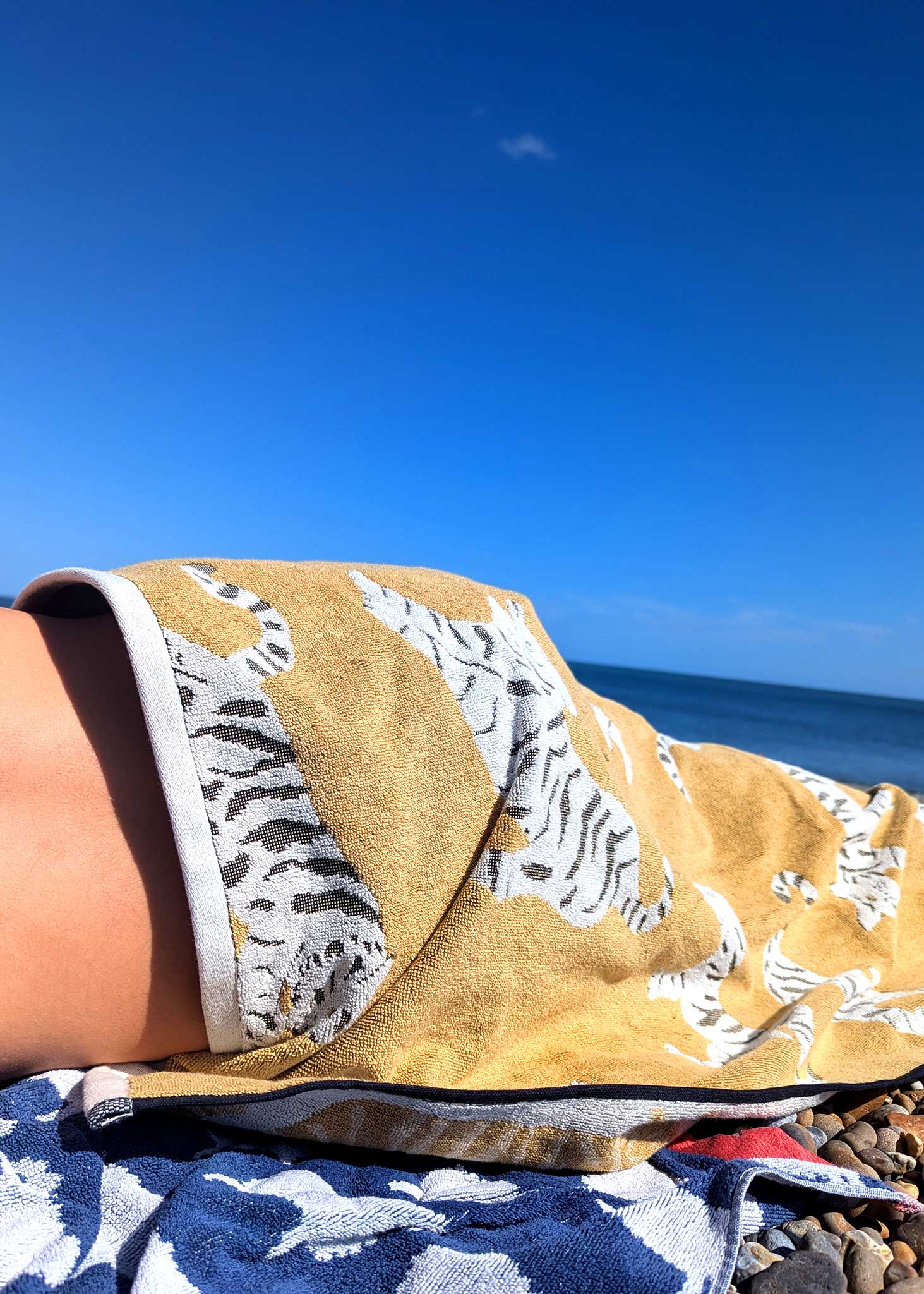 Anorak - Wholesale Bath Towel - Tigers Organic Cotton Towels5