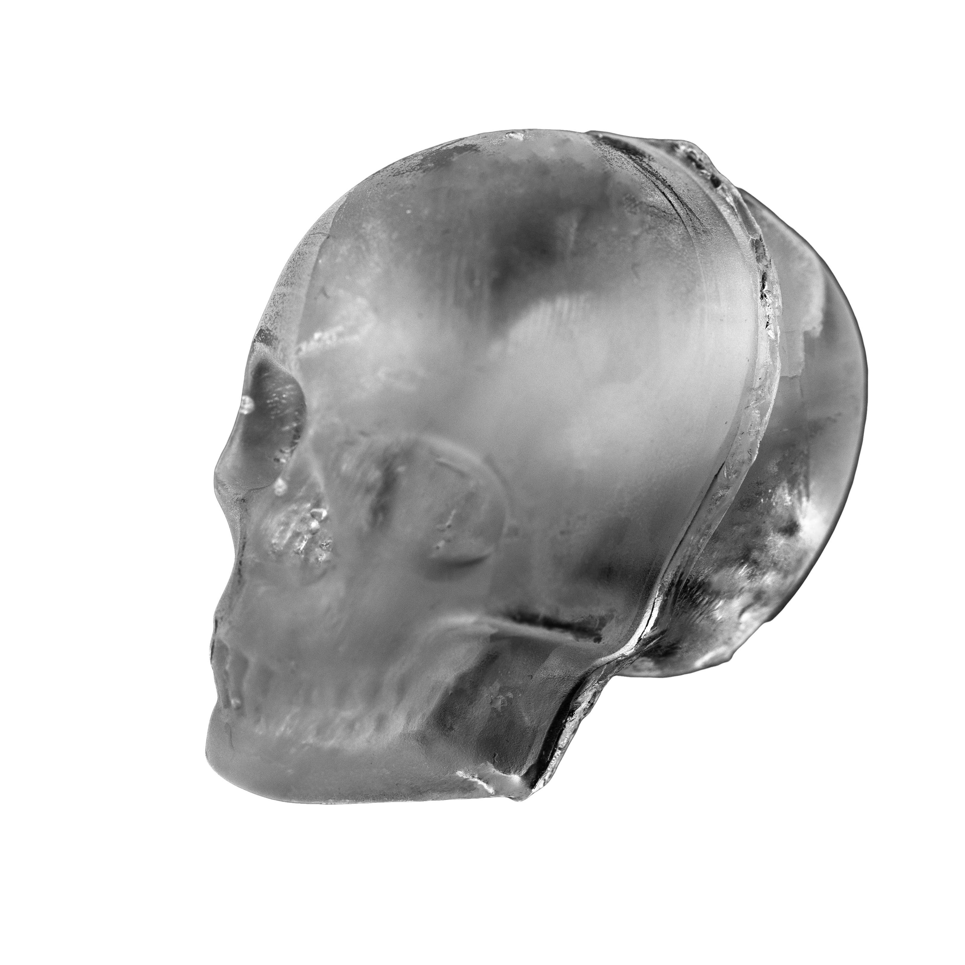 Fisura - Wholesale Ice Bucket - Ice Mold - Skulls