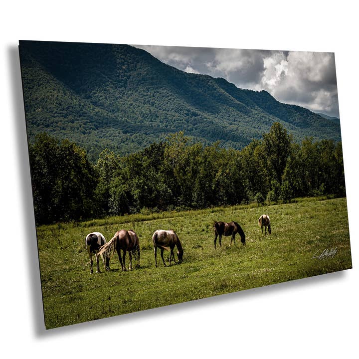 Wild Horses Print | Green Landscape | Rustic for wholesale by Clifton Haley Photography