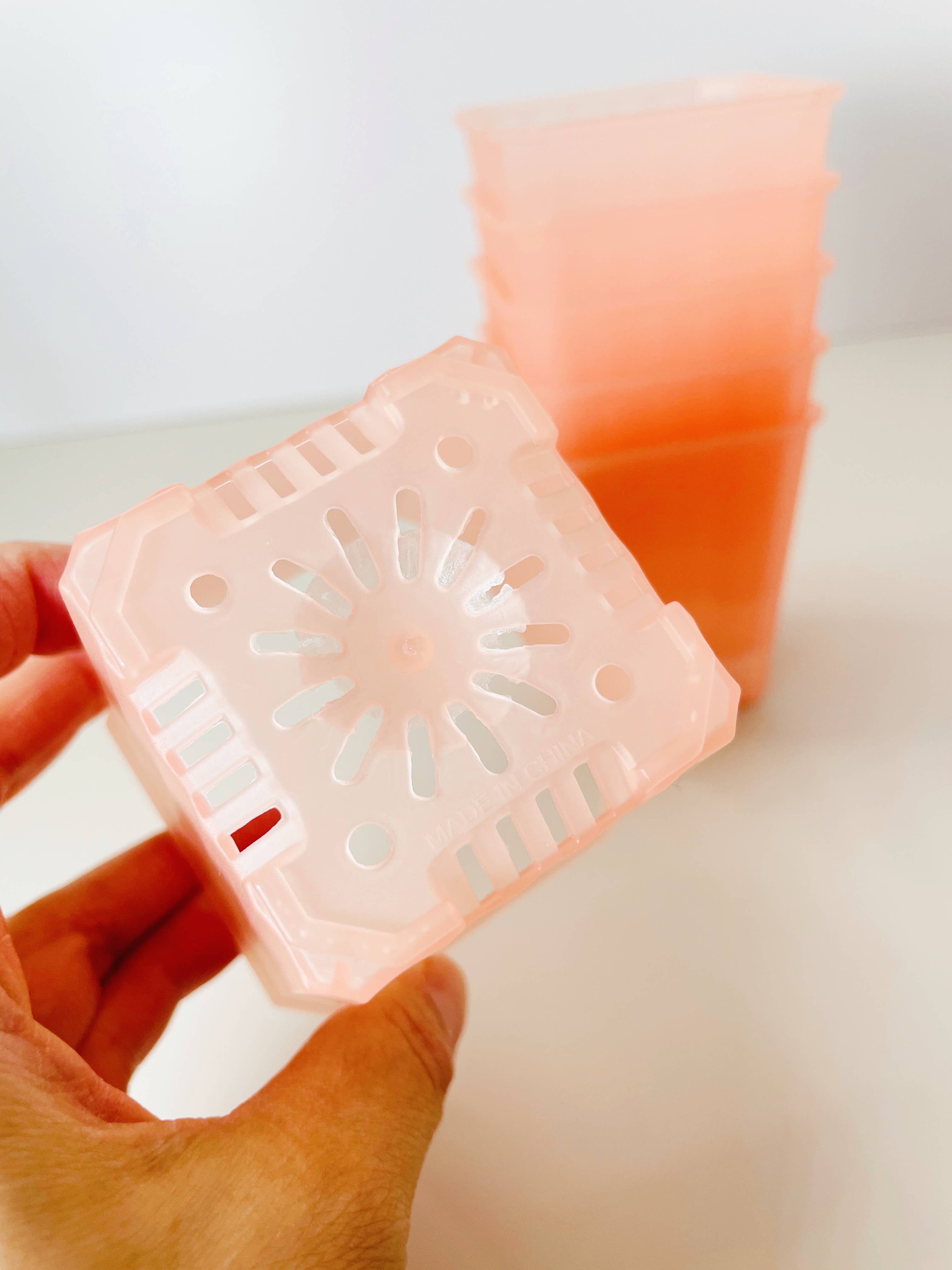 Coco and Palm Trees - Wholesale Plant Pot - 2.75” Pink Tinted Pots 2