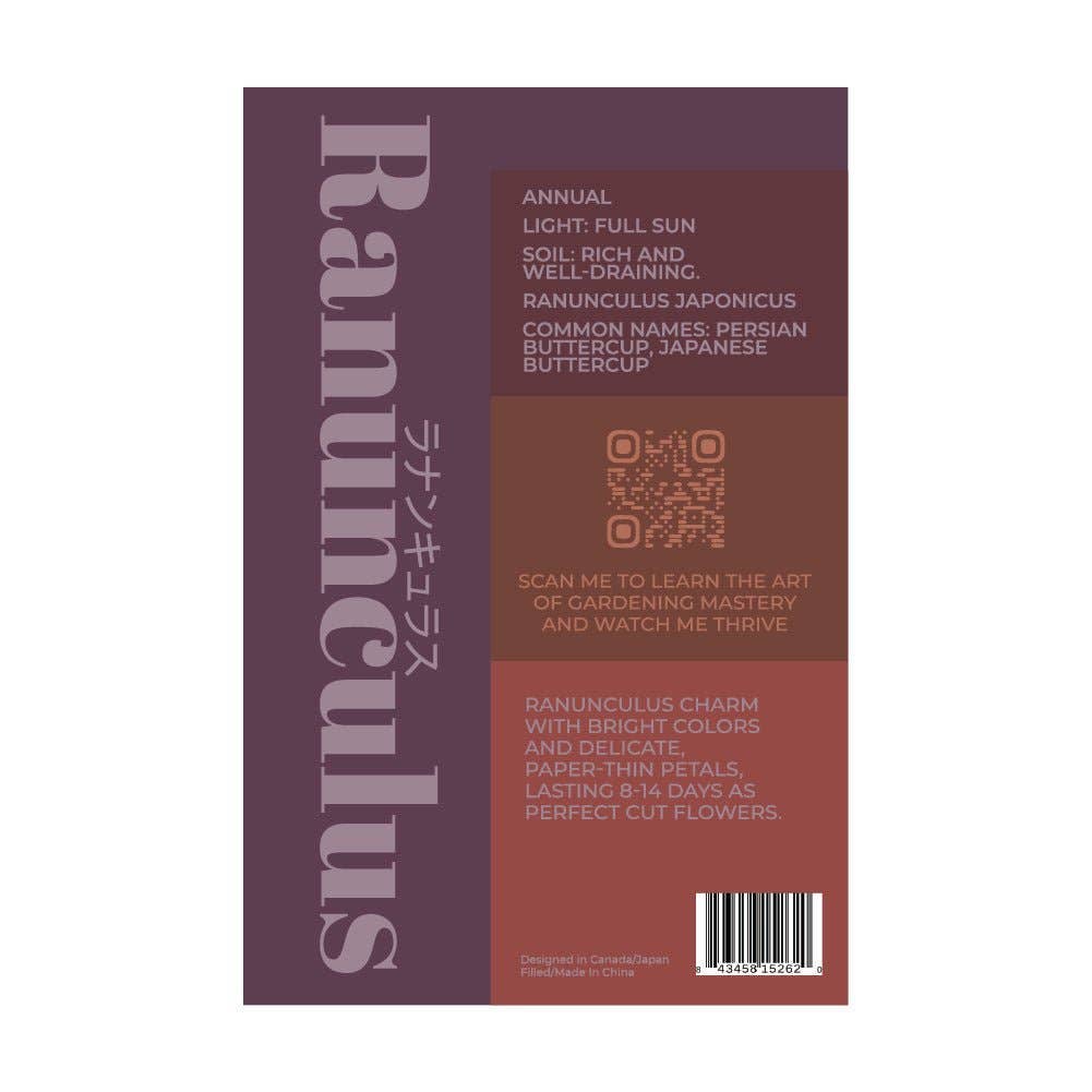 Chive Canada - Wholesale Plant Seeds - Shido Ranunculus Flower Plant Seeds with Flower Food1