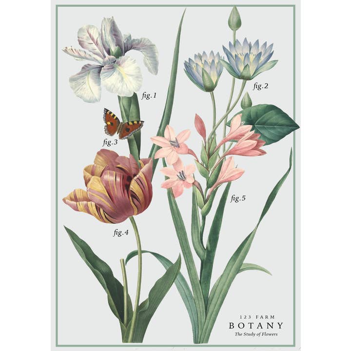 123 Farm - Wholesale Wrapping Paper Roll - Vintage Posters Wrapping Paper - Botany