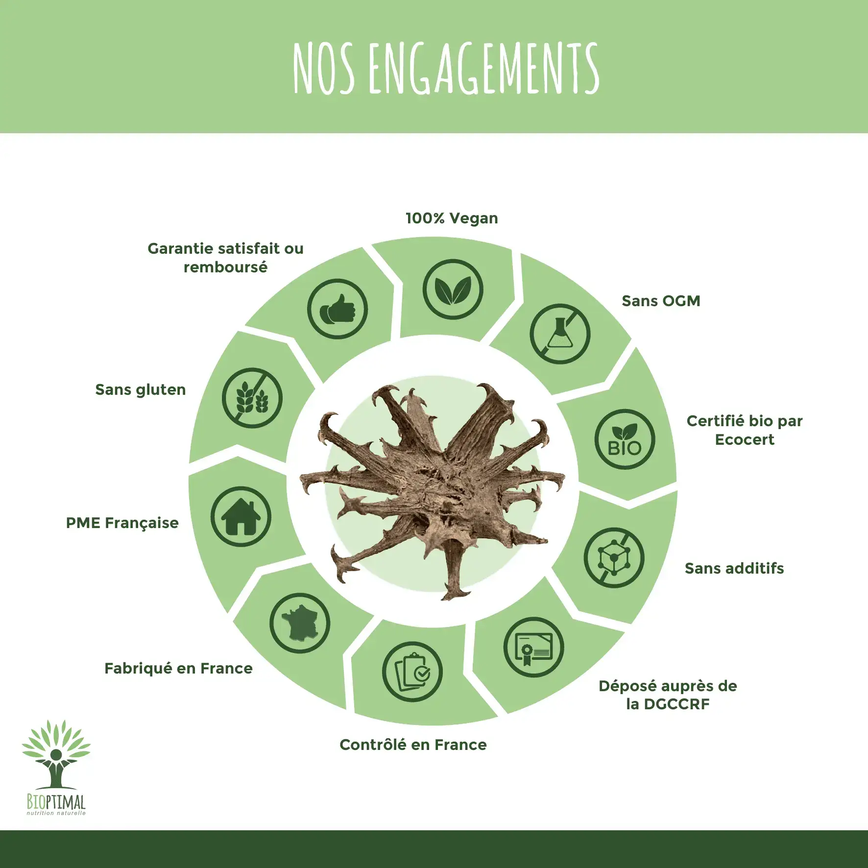 Bioptimal - Wholesale Oral Supplement/Vitamin - Harpagophytum Bio - Dietary supplement - in capsules6