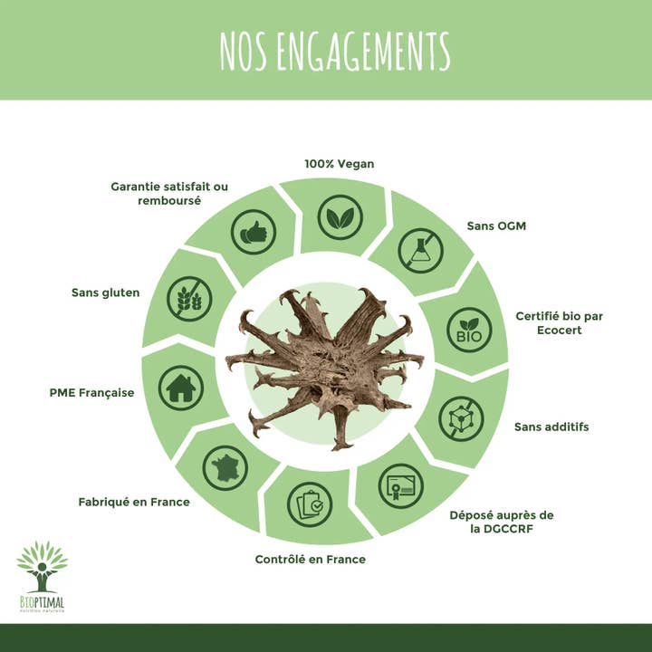 Bioptimal - Wholesale Oral Supplement/Vitamin - Harpagophytum Bio - Dietary supplement - in capsules6