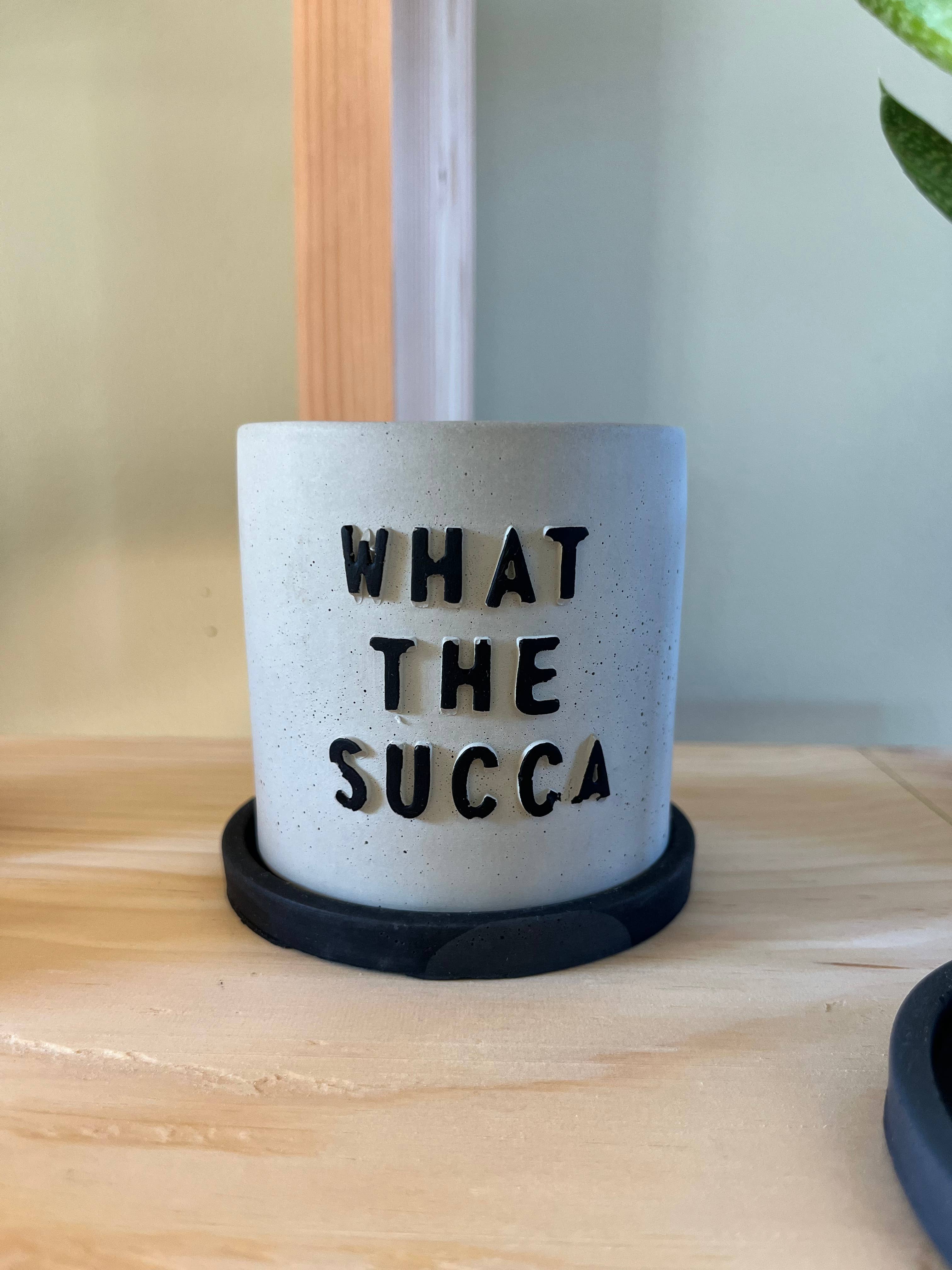 Nora – Vaso de plantas por atacado – Engraçado potes suculentos6