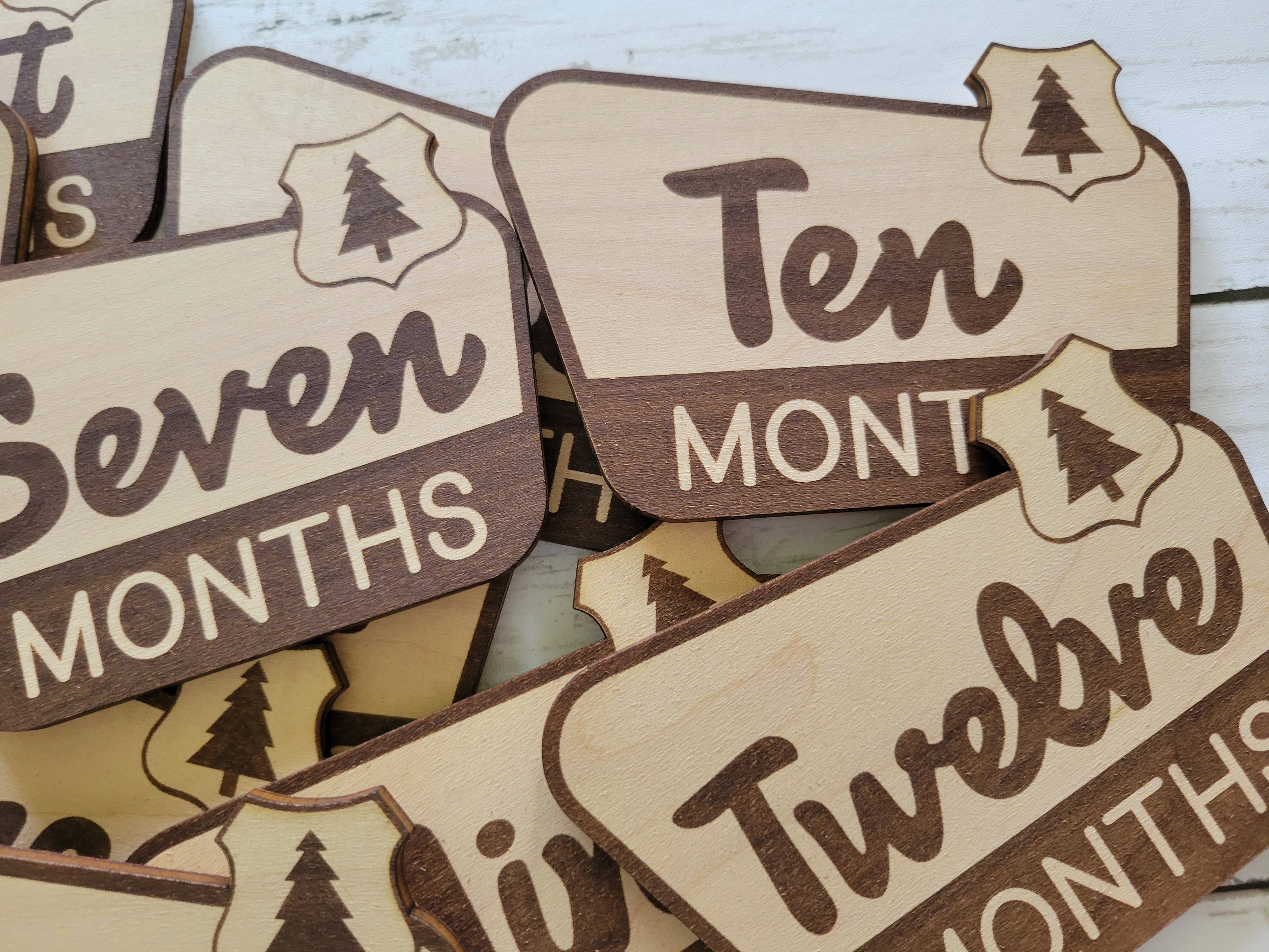 cherelle lynne - Wholesale Milestone Art/Keepsake - Kids & Baby - National Park Monthly Milestone Markers, Welcome Sign3