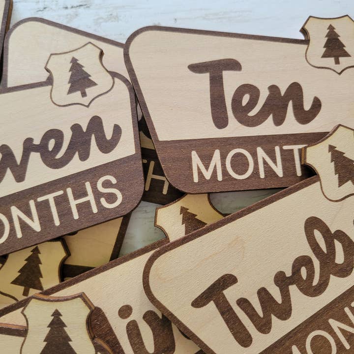 cherelle lynne - Wholesale Milestone Art/Keepsake - Kids & Baby - National Park Monthly Milestone Markers, Welcome Sign3