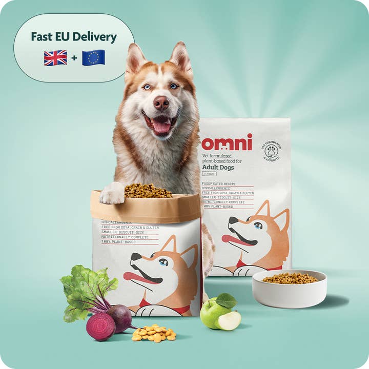 Omni – wholesale Pet food – Dog – Sensitive Tummies