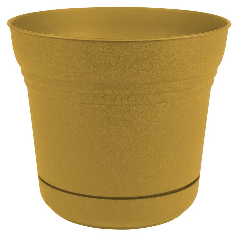Everyday Supply Co - Wholesale Plant Pot - Bloem Saturn Yellow 5" Plastic Planter0