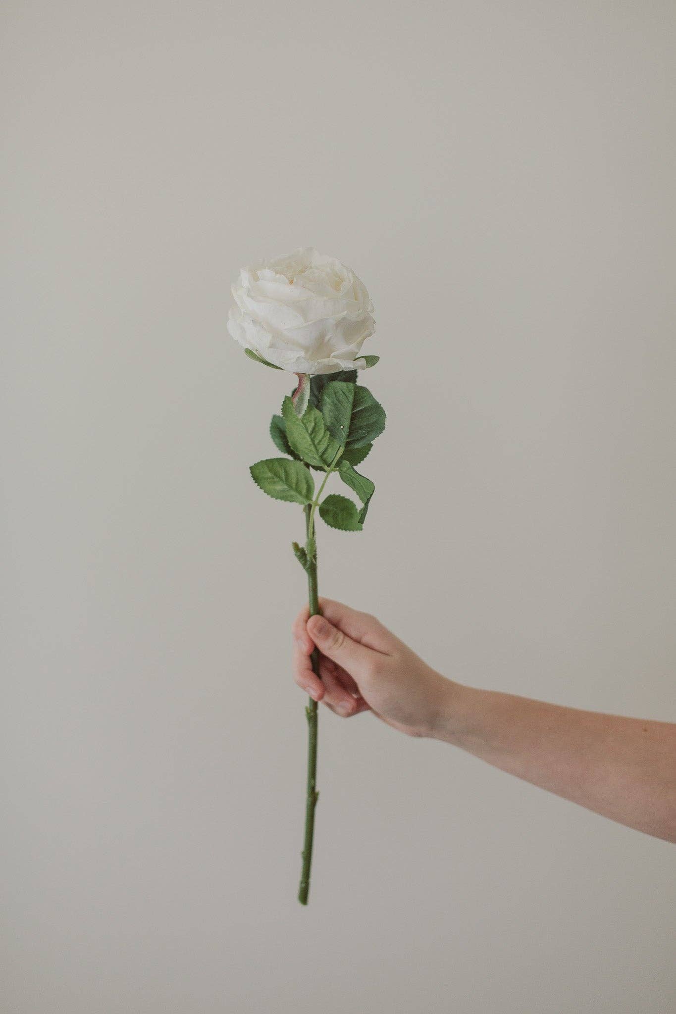 Eucalypt Co. - Wholesale Artificial Flowers - Real Touch White Rose1