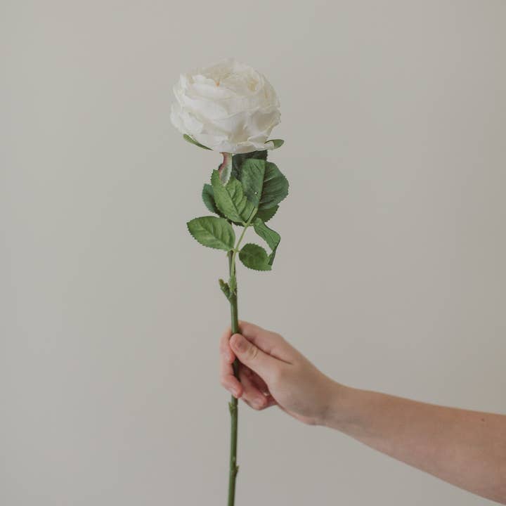 Eucalypt Co. - Wholesale Artificial flowers - Soft Touch White Rose1
