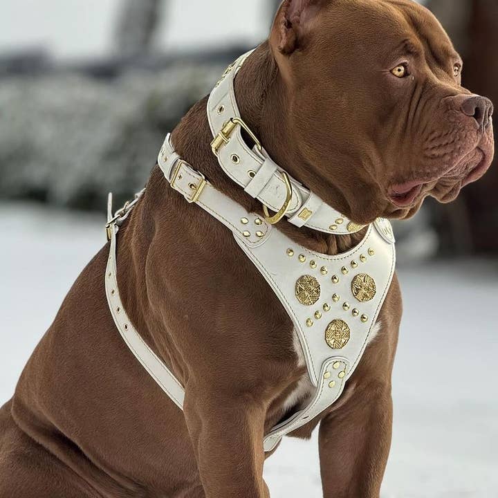 Harnais Maximus blanc pour la vente par Serendipityfile