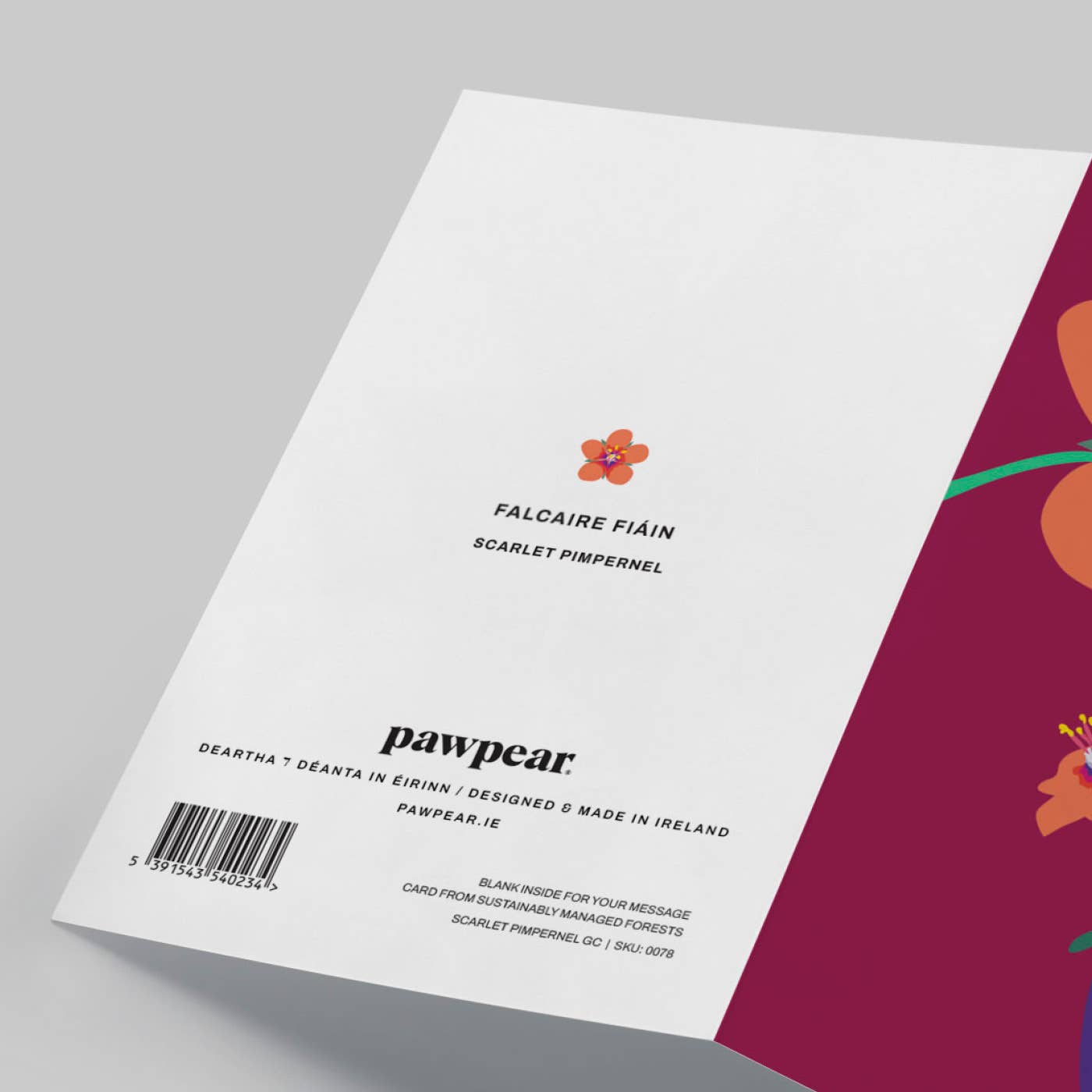 Pawpear - Wholesale Everyday Greeting Card - Pimpernel Greeting Card2