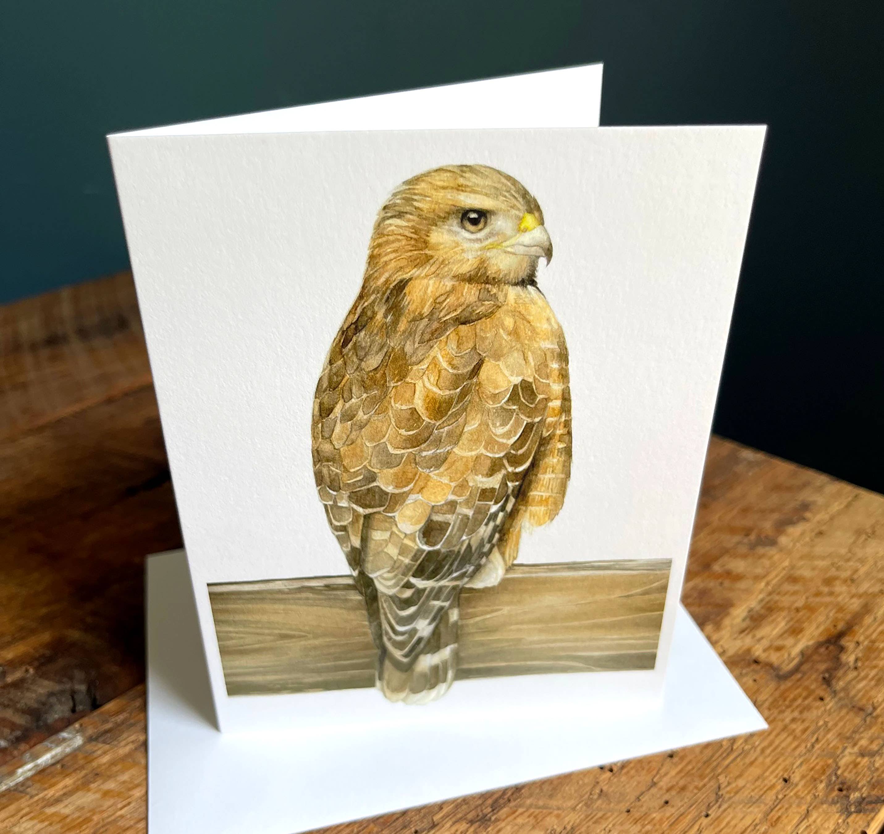 Amy Shawley Paquette - Wholesale Stationery/Notecard Set - Red-shouldered Hawk - Blank Note Card1