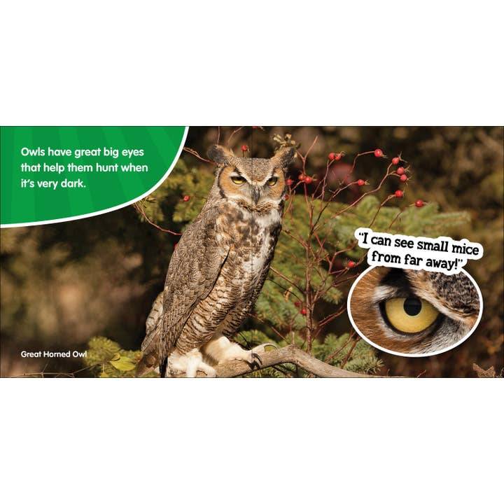 AdventureKEEN - Wholesale Baby & Toddler Book (0-2) - Peepers & Peekers4