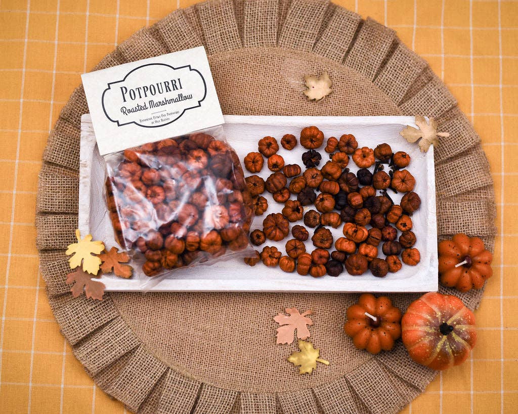 Oily Blends - Wholesale Potpourri - Fall Mini Pumpkin Potpourri Packs1