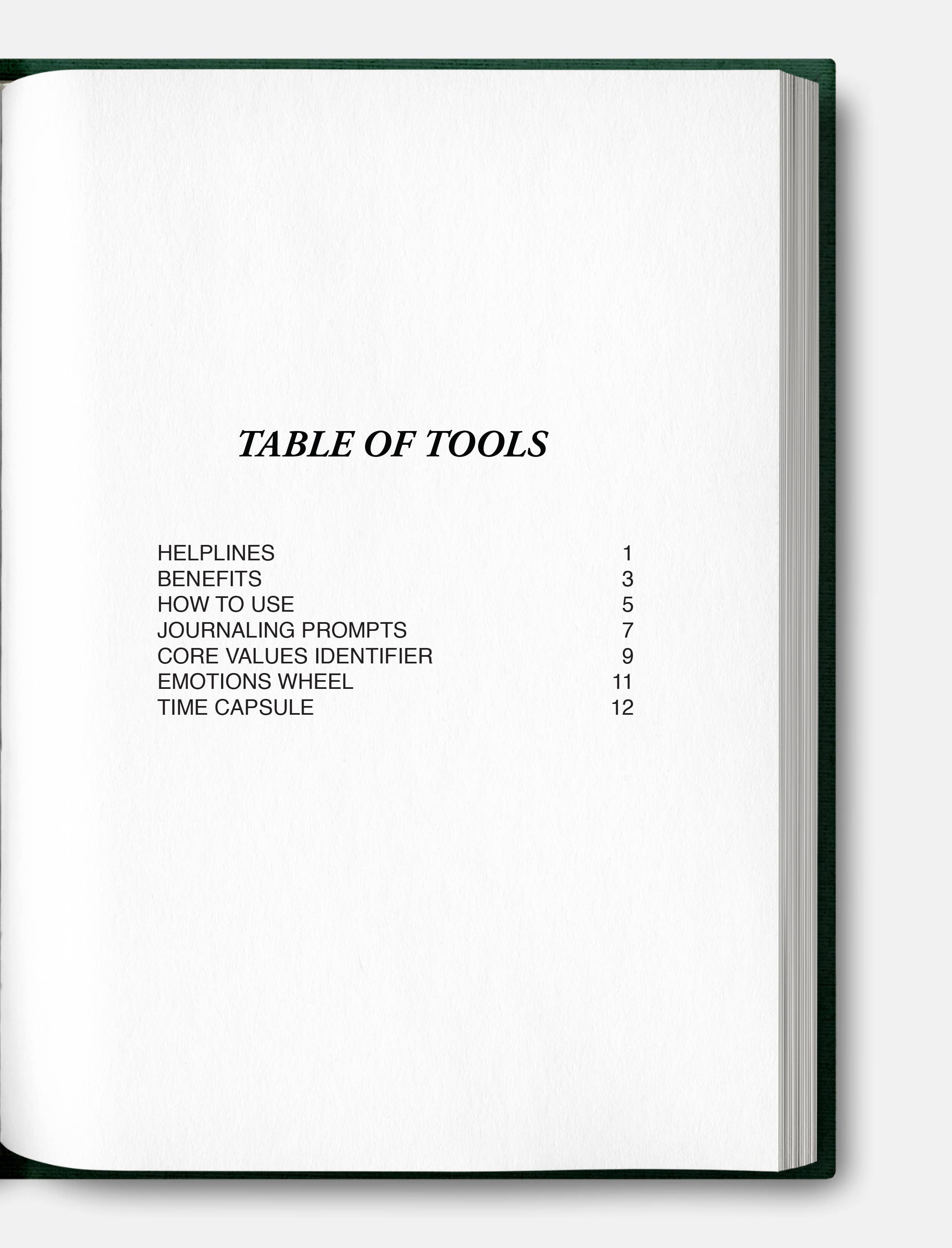 Safe Journal - Wholesale Journal/Diary - Safe Journal: Organized Diary - Therapist Recommended 6