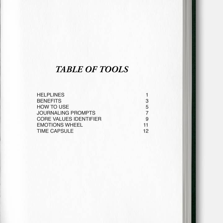 Safe Journal - Wholesale Journal/Diary - Safe Journal: Organized Diary - Therapist Recommended 6