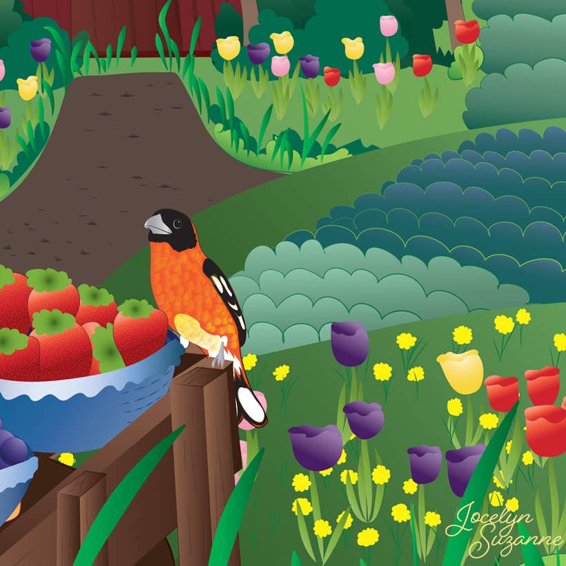 Bella Blue Designs - Wholesale Art Print - Poster Art Print - Tulip Farm Sunrise, 12x18"3